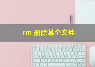 rm 删除某个文件